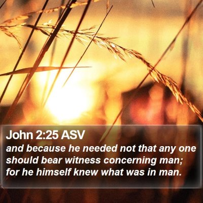John 2:25 ASV Bible Verse Image