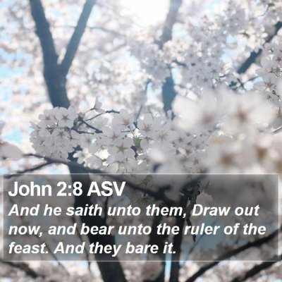 John 2:8 ASV Bible Verse Image