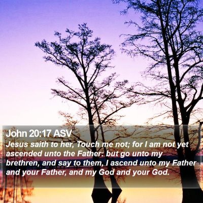 John 20:17 ASV Bible Verse Image