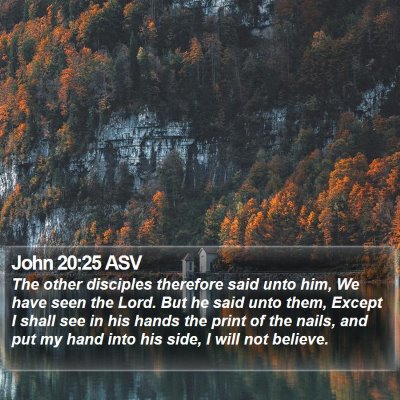 John 20:25 ASV Bible Verse Image