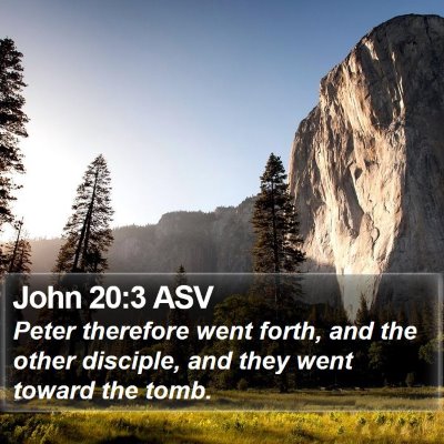 John 20:3 ASV Bible Verse Image