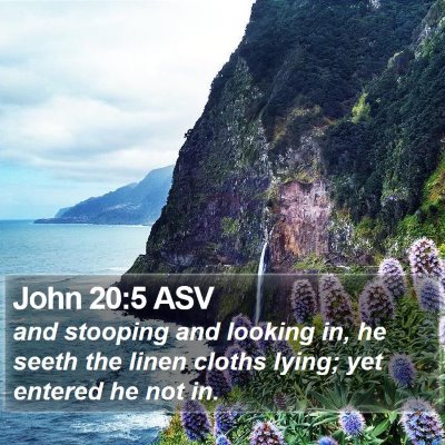 John 20:5 ASV Bible Verse Image