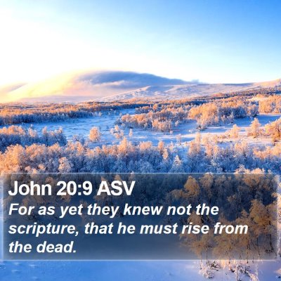 John 20:9 ASV Bible Verse Image