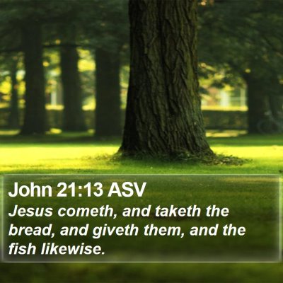 John 21:13 ASV Bible Verse Image