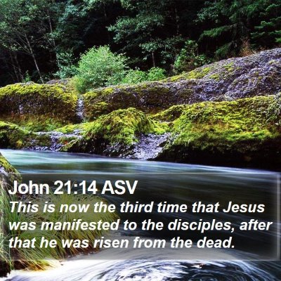 John 21:14 ASV Bible Verse Image