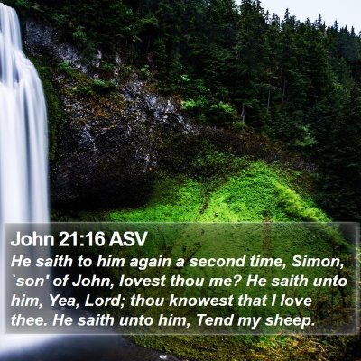 John 21:16 ASV Bible Verse Image