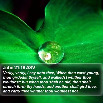 John 21:18 ASV Bible Verse Image