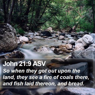 John 21:9 ASV Bible Verse Image
