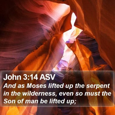 John 3:14 ASV Bible Verse Image