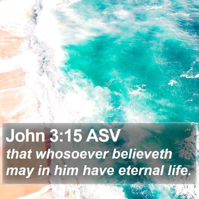 John 3:15 ASV Bible Verse Image