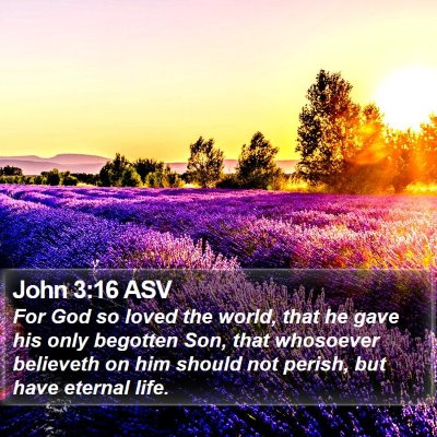 John 3:16 ASV Bible Verse Image