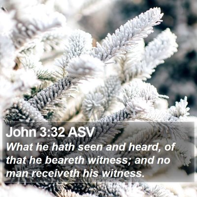 John 3:32 ASV Bible Verse Image