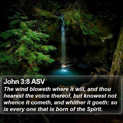 John 3:8 ASV Bible Verse Image