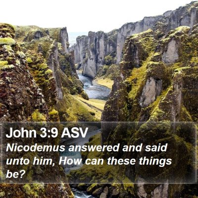 John 3:9 ASV Bible Verse Image