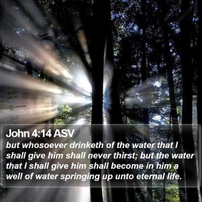 John 4:14 ASV Bible Verse Image