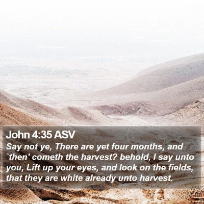 John 4:35 ASV Bible Verse Image