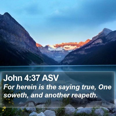 John 4:37 ASV Bible Verse Image