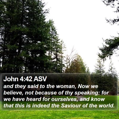 John 4:42 ASV Bible Verse Image