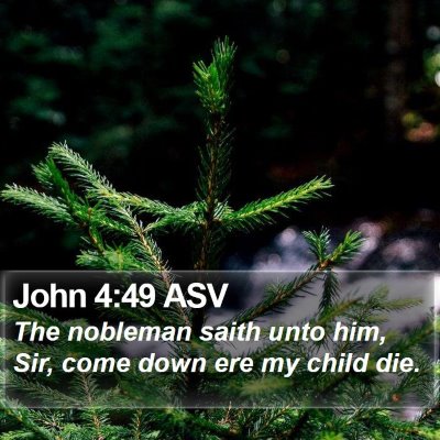 John 4:49 ASV Bible Verse Image