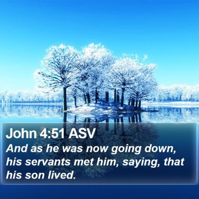 John 4:51 ASV Bible Verse Image