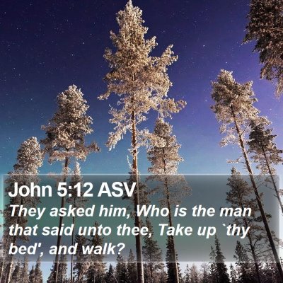 John 5:12 ASV Bible Verse Image