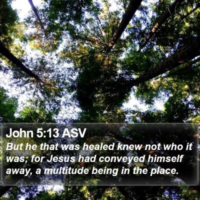 John 5:13 ASV Bible Verse Image
