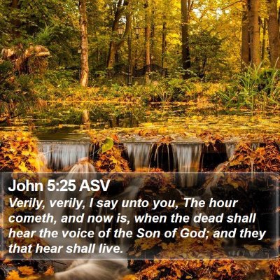John 5:25 ASV Bible Verse Image