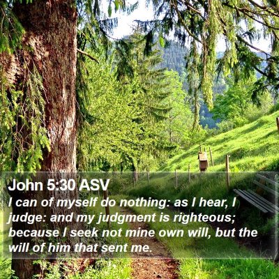 John 5:30 ASV Bible Verse Image