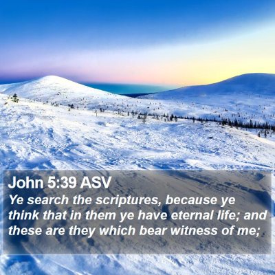 John 5:39 ASV Bible Verse Image