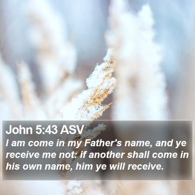 John 5:43 ASV Bible Verse Image