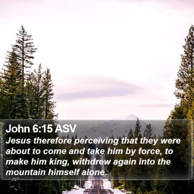 John 6:15 ASV Bible Verse Image