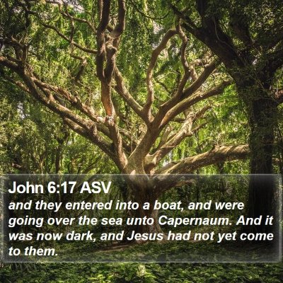 John 6:17 ASV Bible Verse Image