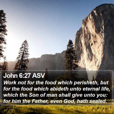John 6:27 ASV Bible Verse Image