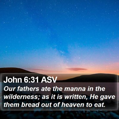 John 6:31 ASV Bible Verse Image