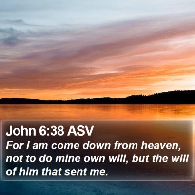 John 6:38 ASV Bible Verse Image