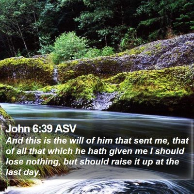 John 6:39 ASV Bible Verse Image