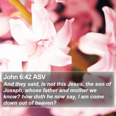 John 6:42 ASV Bible Verse Image