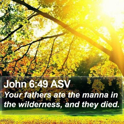 John 6:49 ASV Bible Verse Image