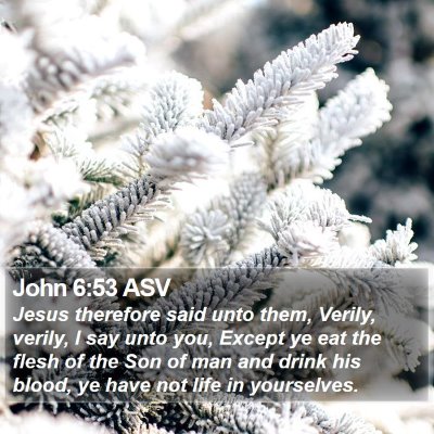 John 6:53 ASV Bible Verse Image