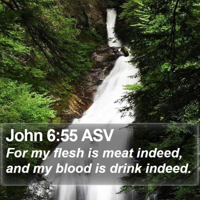 John 6:55 ASV Bible Verse Image
