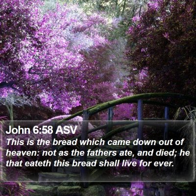 John 6:58 ASV Bible Verse Image