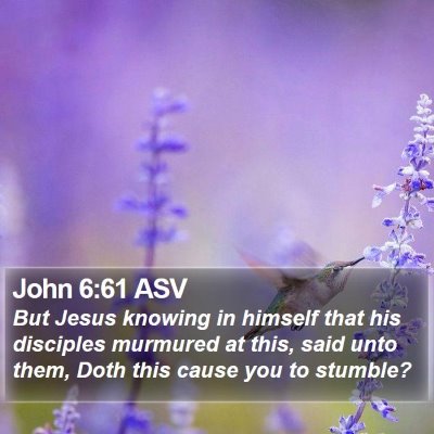 John 6:61 ASV Bible Verse Image
