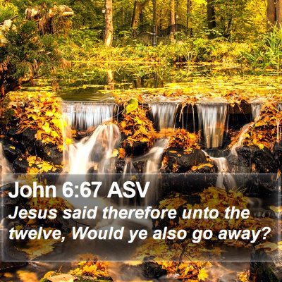 John 6:67 ASV Bible Verse Image