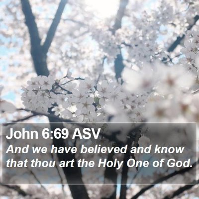 John 6:69 ASV Bible Verse Image
