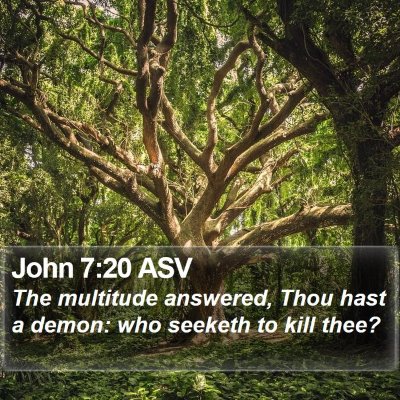 John 7:20 ASV Bible Verse Image