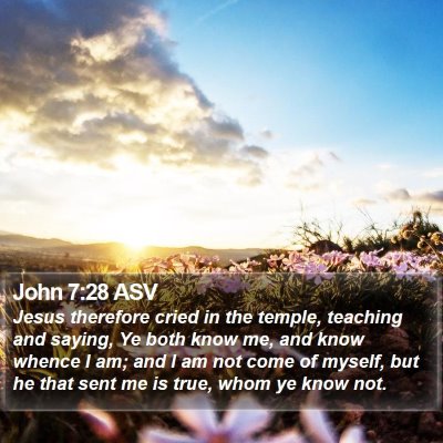 John 7:28 ASV Bible Verse Image
