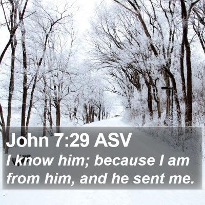 John 7:29 ASV Bible Verse Image