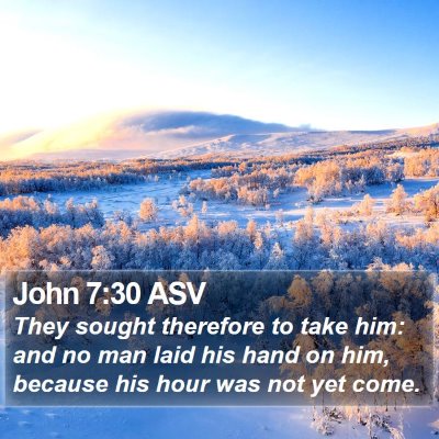 John 7:30 ASV Bible Verse Image
