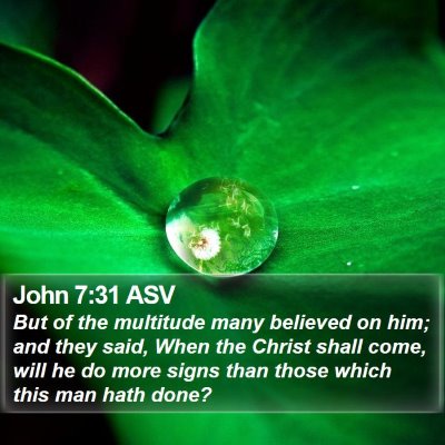 John 7:31 ASV Bible Verse Image