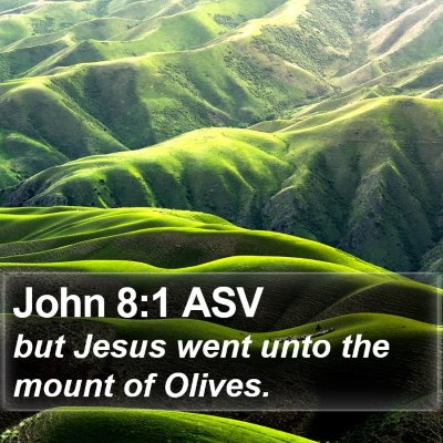 John 8:1 ASV Bible Verse Image